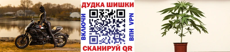 Купить закладку Гашиш APVP Мефедрон АМФ COCAIN Десногорск