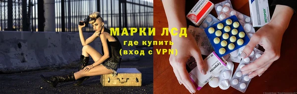 крисы Вязьма