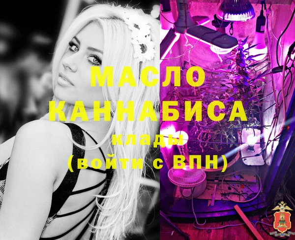 молекула духа Горняк