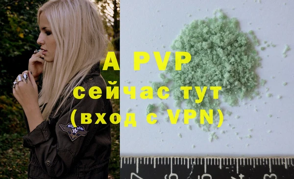 крисы Вязьма