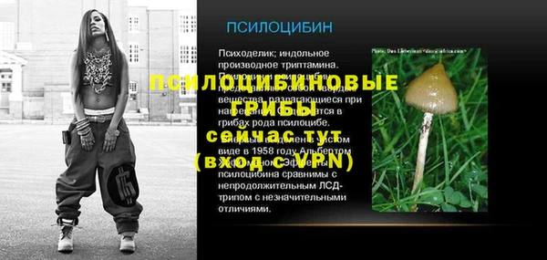 ECSTASY Вяземский