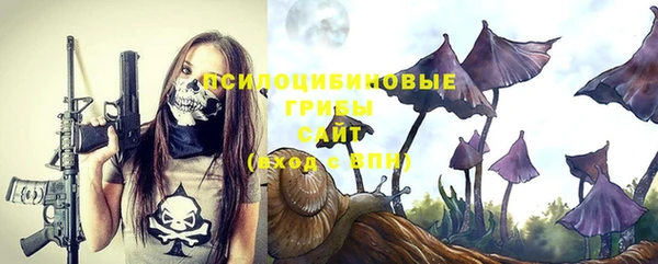 ECSTASY Вяземский