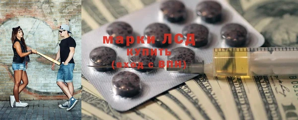 крисы Вязьма