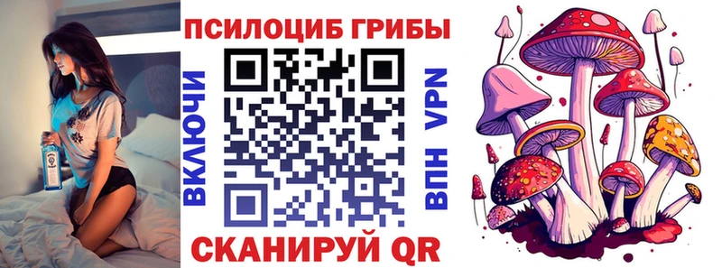 Купить где  Десногорск  Псилоцибиновые грибы ЛСД 